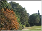 foto Parco Sebellin in Autunno